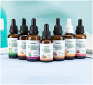 Stevia sweetener、Monk fruit sweetener、Allulose、Erythritol、Xylitol、Plant extract powder