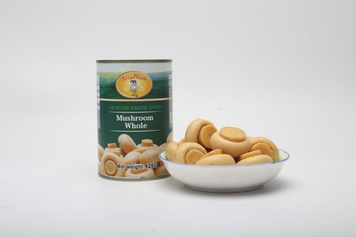 Canned Whole Mushroom