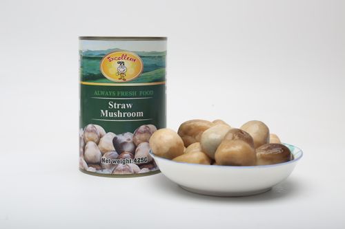 Canned Straw Mushroom