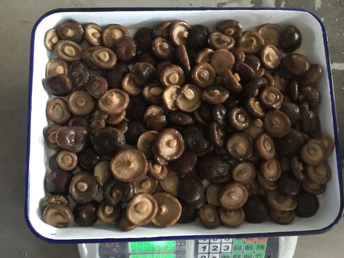 Canned Shiitake Whole