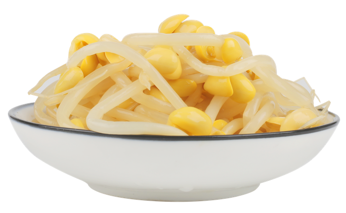 Canned soybean sprout