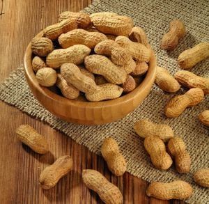 Peanuts inshell (Monkey Nuts)