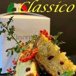Vincenzo Ltd., Artisan Italian Panettone