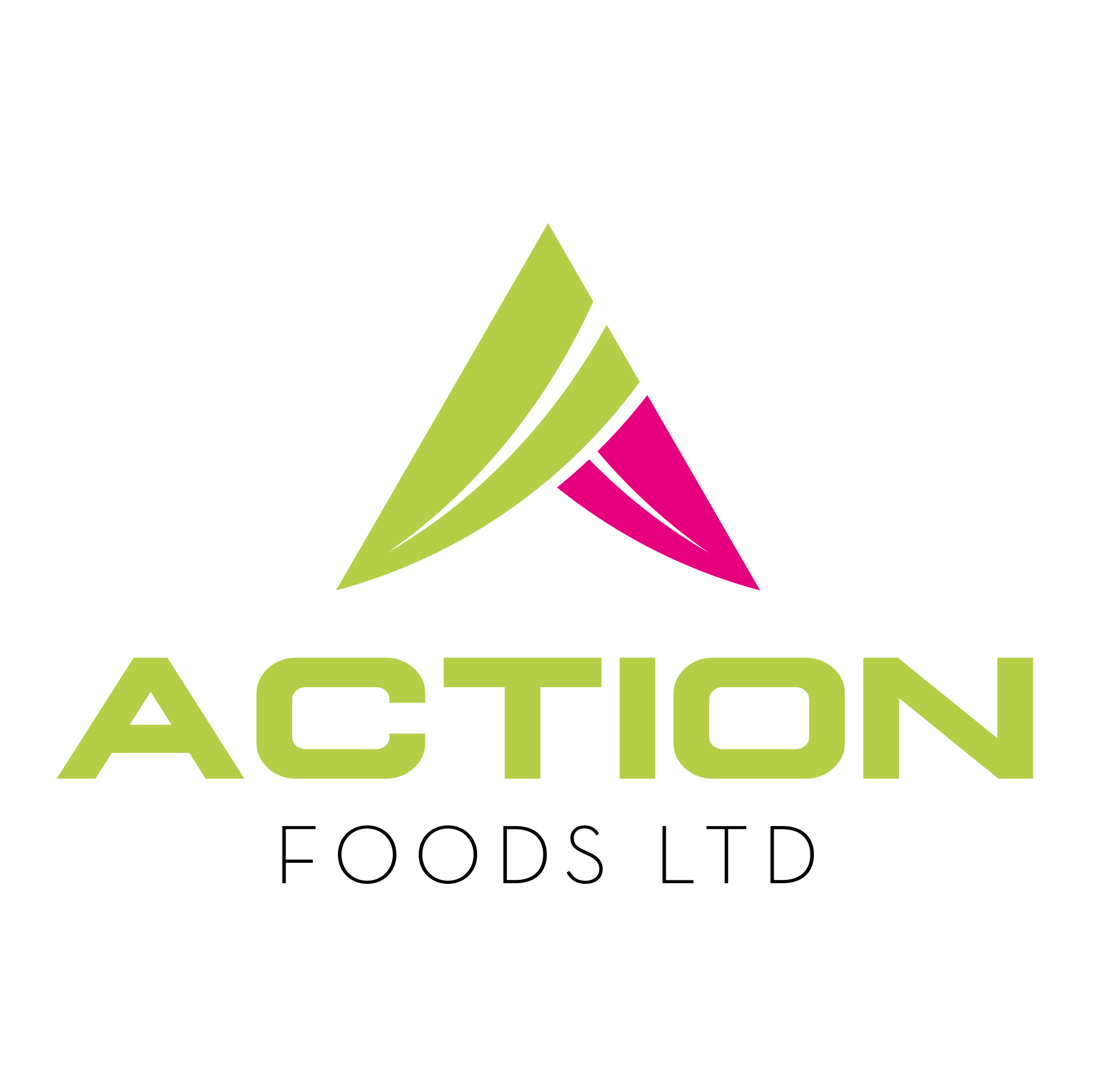 Action Foods Ltd