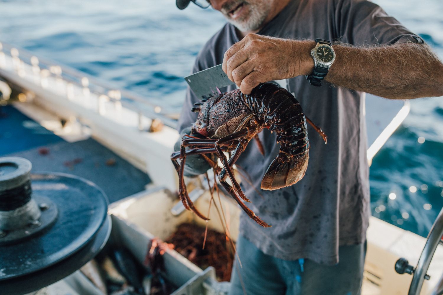 Geraldton Fishermen's Co-op