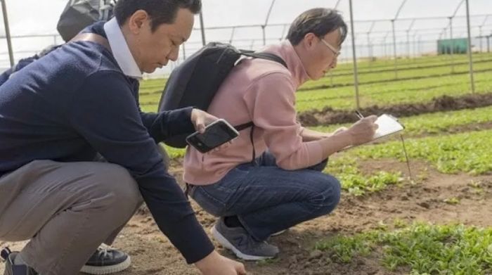 ALMA SEGES WELCOMES A JAPANES DELEGATION IN ITALIAN FIELDS