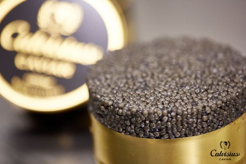 Calvisius Caviar. Sustainable, Made in Italy Caviar