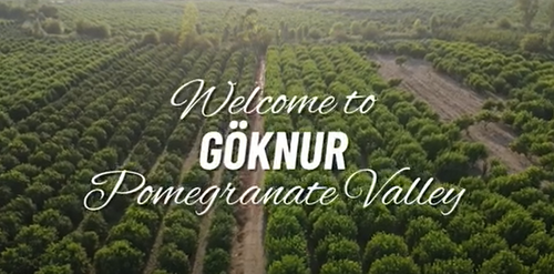 Welcome to Göknur Pomegranate Valley