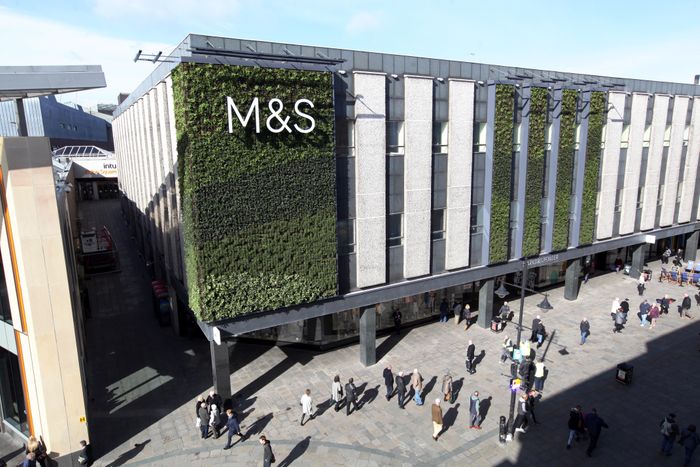 M&S Family Matters index sees rising interest in health food products