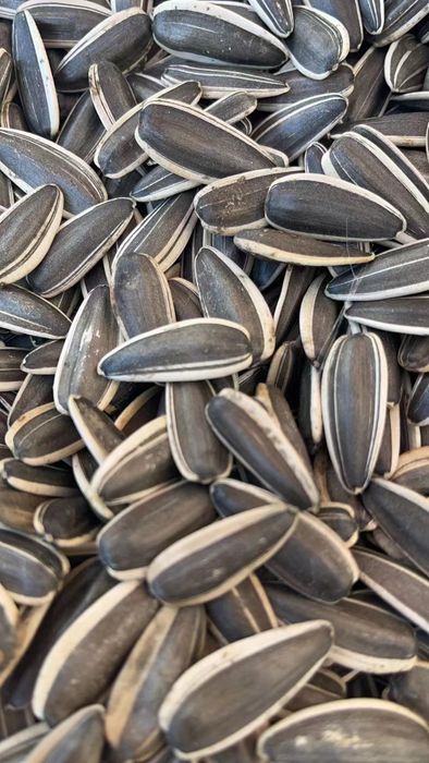 sunflower seeds