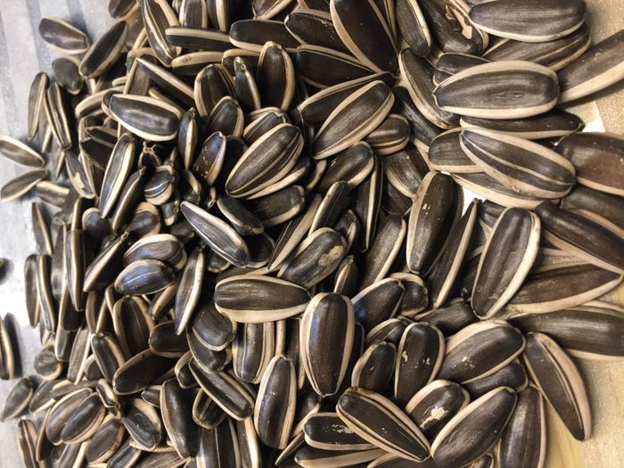 sunflower seeds