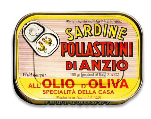 Sardines in olive oil