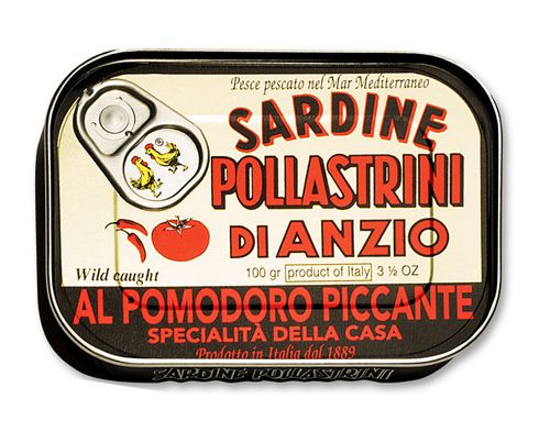 Sardines in tomato sauce whit hot pepper