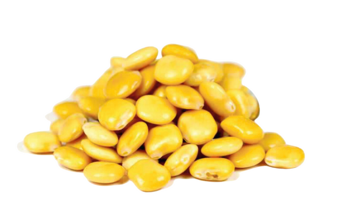 Lupin beans in brine -  bucket 4kg / bag 500g