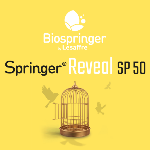 Springer® Reveal SP50