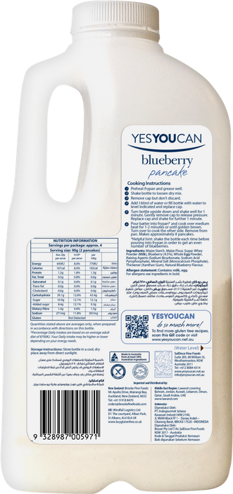 YesYouCan Blueberry Pancake Mix