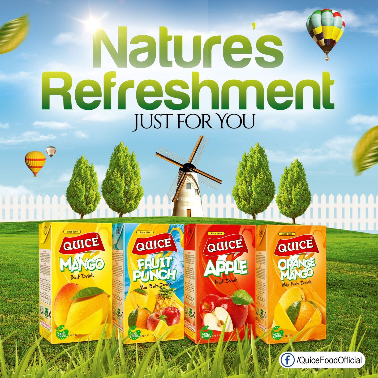 Quice Fruit Drinks Tetra Packs 250ml