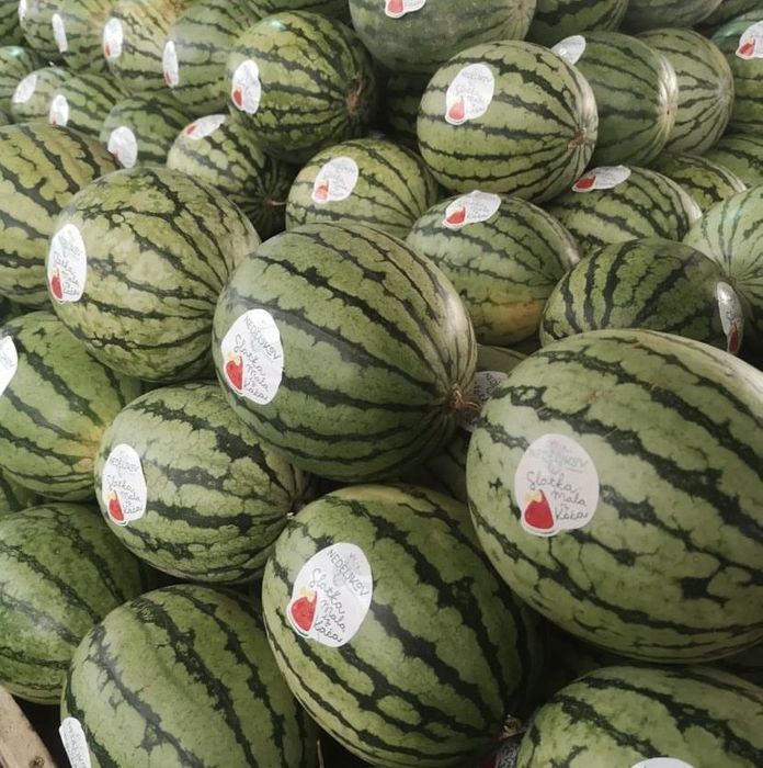 Watermelon IFE, International Food & Drink Event 2025