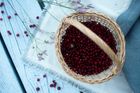 Frozen Lingonberry