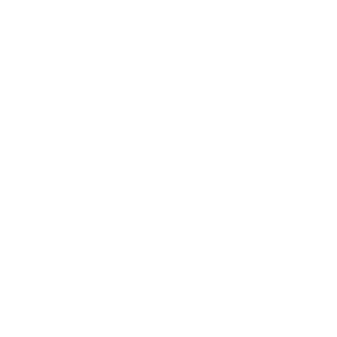 eviivo logo