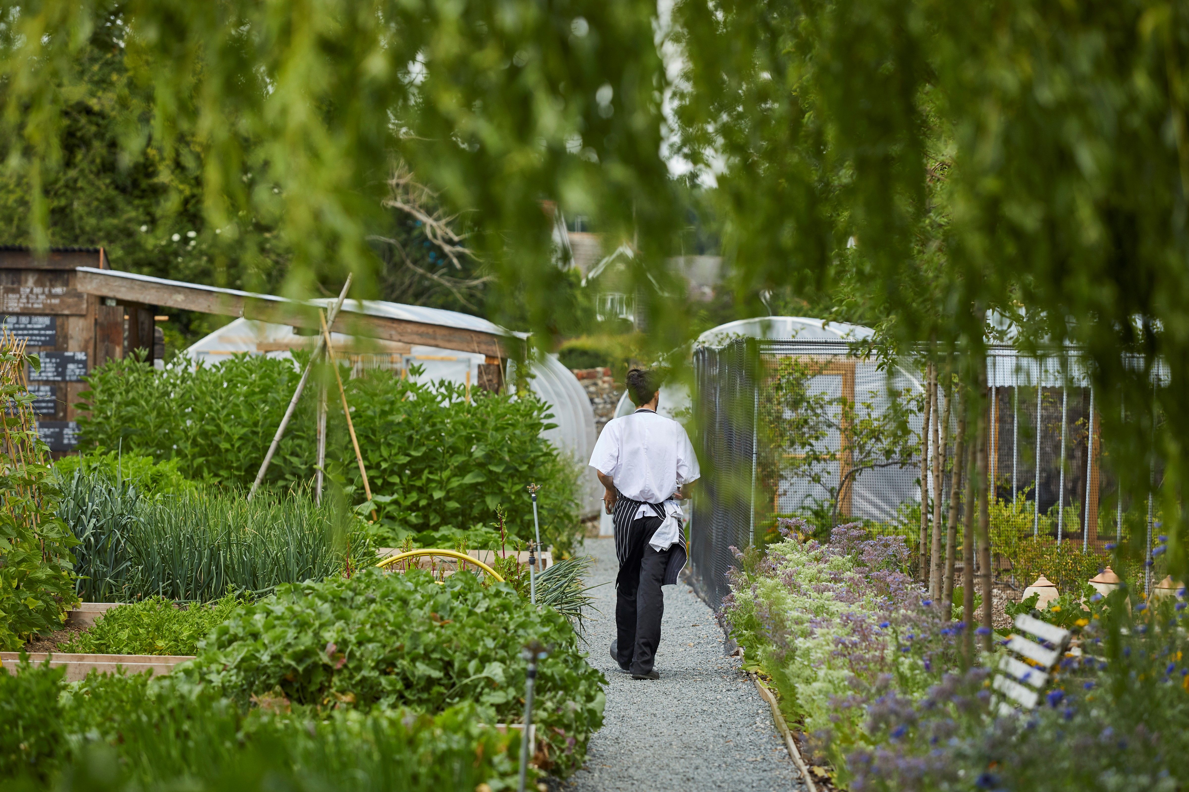 The PIG Hotel Group - Kitchen Garden