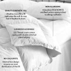 Classic Just Like Feather & Down Duvet