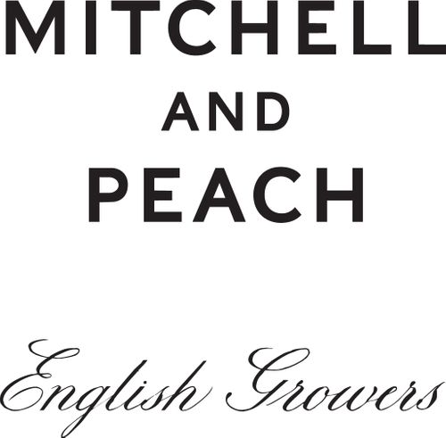 MITCHELL AND PEACH