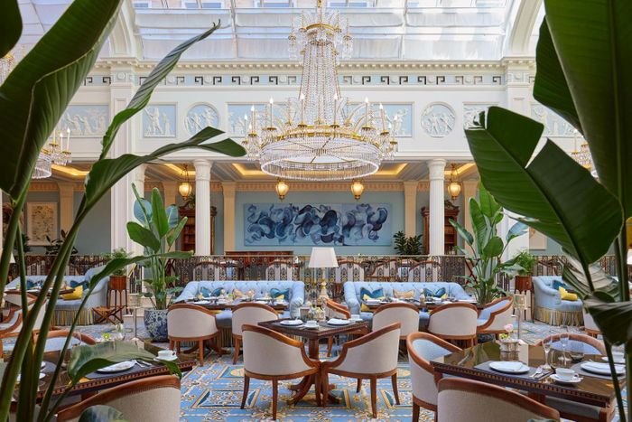 The Hotelier Edit: The Lanesborough, Winner of the AA Hotel of the Year London Award in 2023