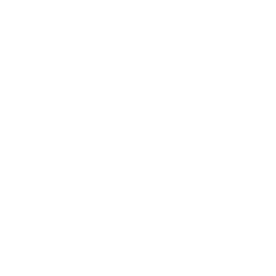 eviivo