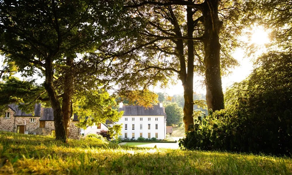 Grove of Narberth