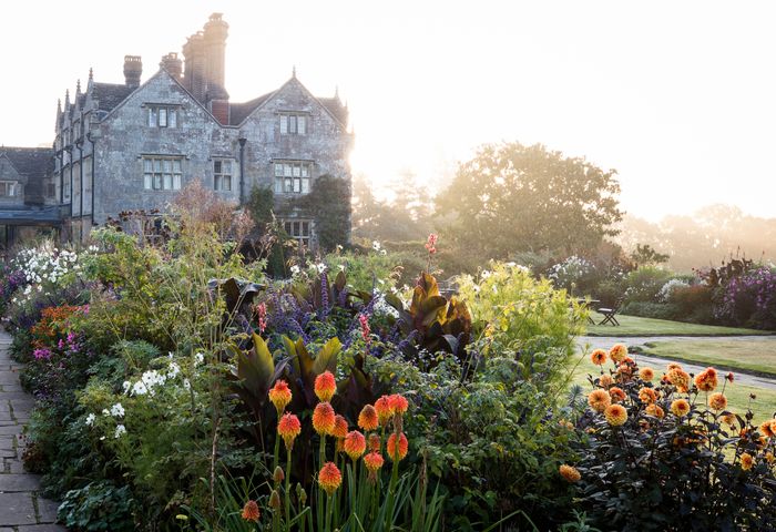 The Greenhouse Collection