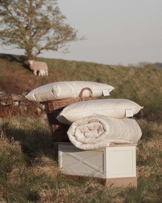 Ava Innes Scotland - Luxury Sleep, Hospitality and Wellness