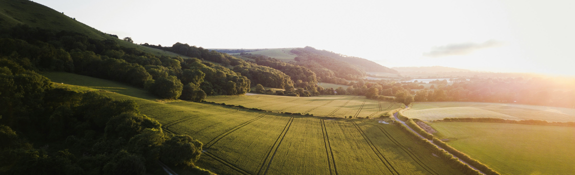 Cover image - Clockwork Marketing