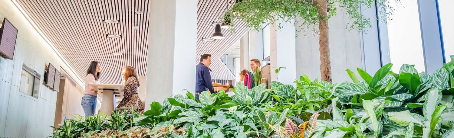 Cover image - Oasis Plants