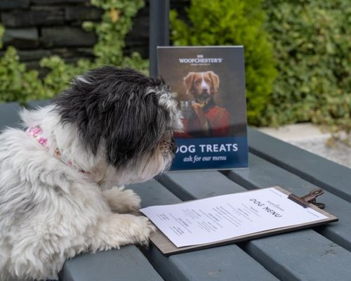 Enter the Concept Lab: Sir Woofchester's