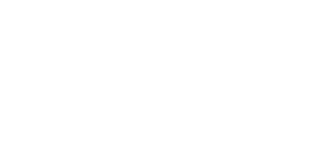 Hotel Business