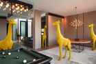 Bambi, the Baby Giraffe