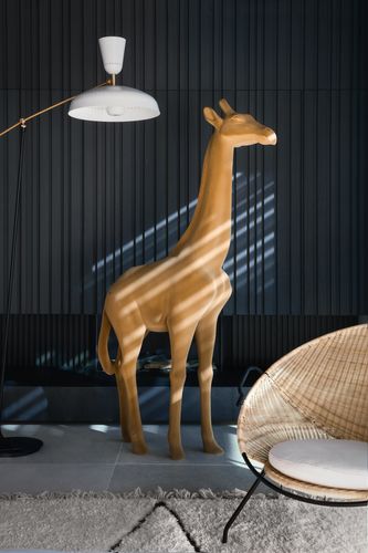 Bambi, the Baby Giraffe