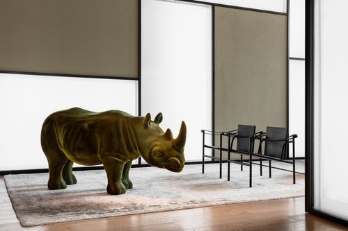 Jerry, The Rhino