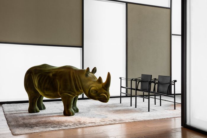 Jerry, The Rhino