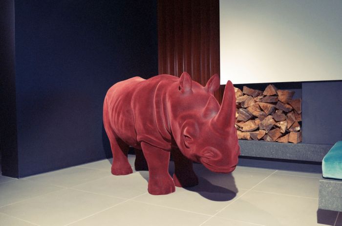 Jerry, The Rhino