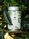 Maho Matcha No. 308 (organic)