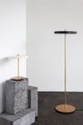 Asteria Floor
