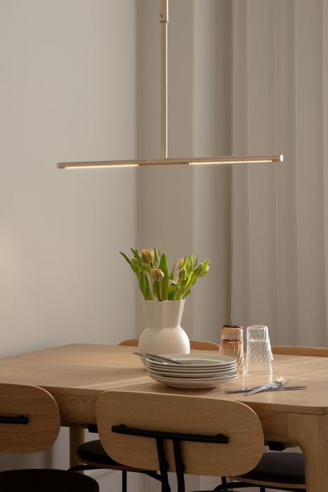Omni Lighting Family
