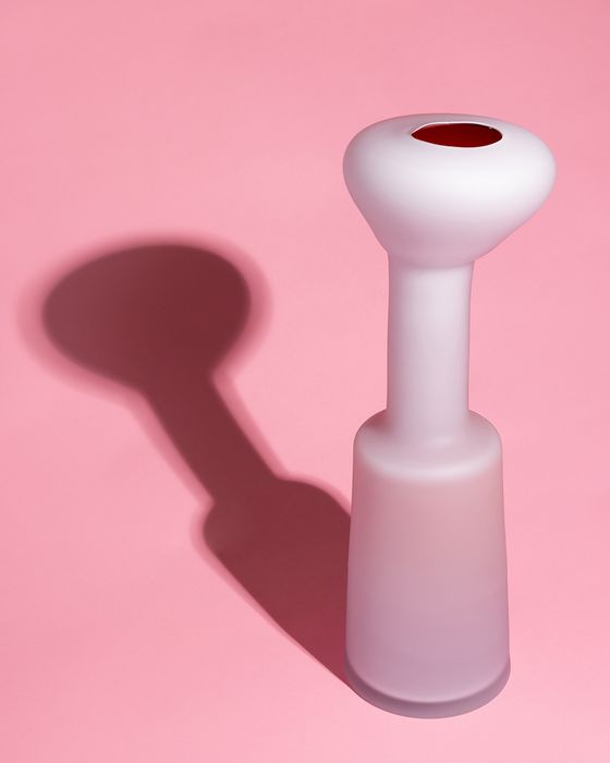 Fungus vase