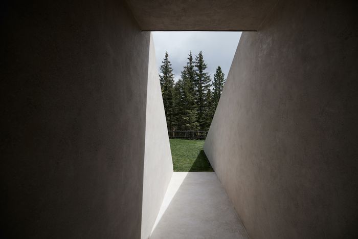 Forestis – the art of simplicity