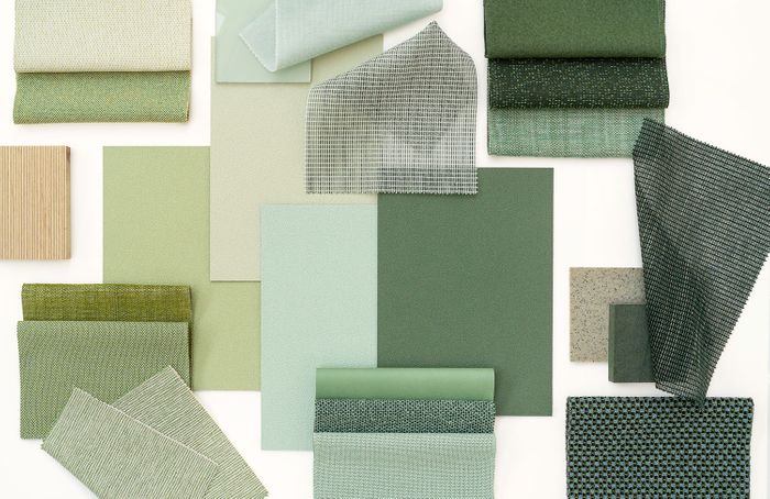 Colour choice
