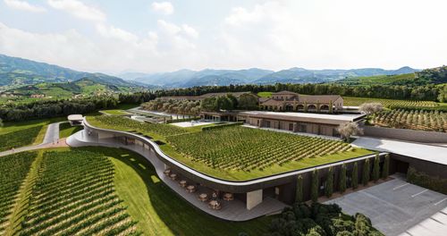 Winery MZ