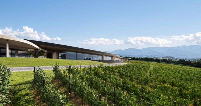 Winery MZ
