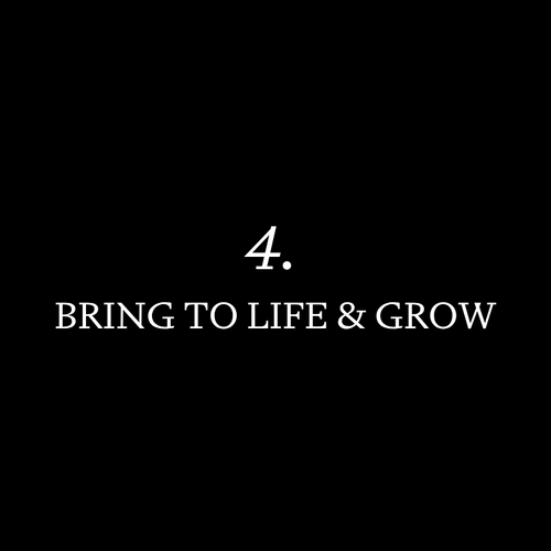 4.